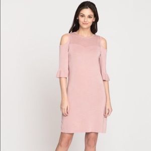 Nic + Zoe POINTELLE PATTERN DRESS